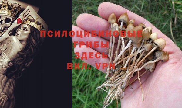 ешки Абдулино