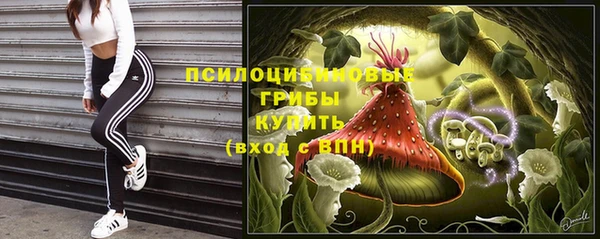 каннабис Алзамай