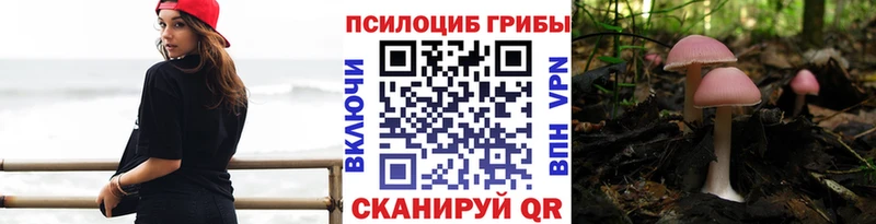Псилоцибиновые грибы Psilocybe  где найти наркотики  Новосиль 